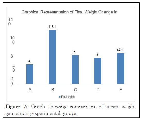 JNFS-weight