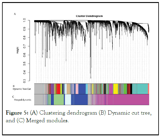 JPB-dendrogram