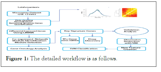 JPB-detailed