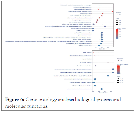 JPB-ontology