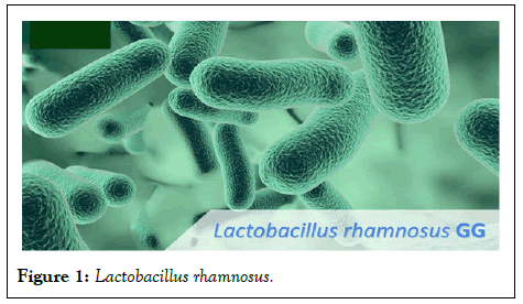 JPH-Lactobacillus