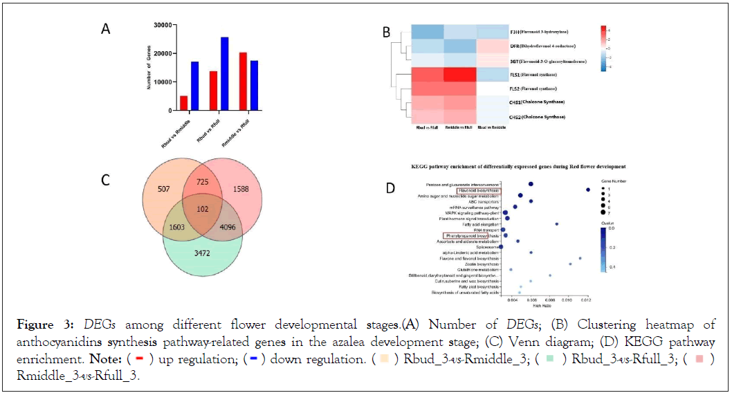 regulation