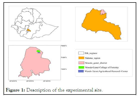 MAP-Description