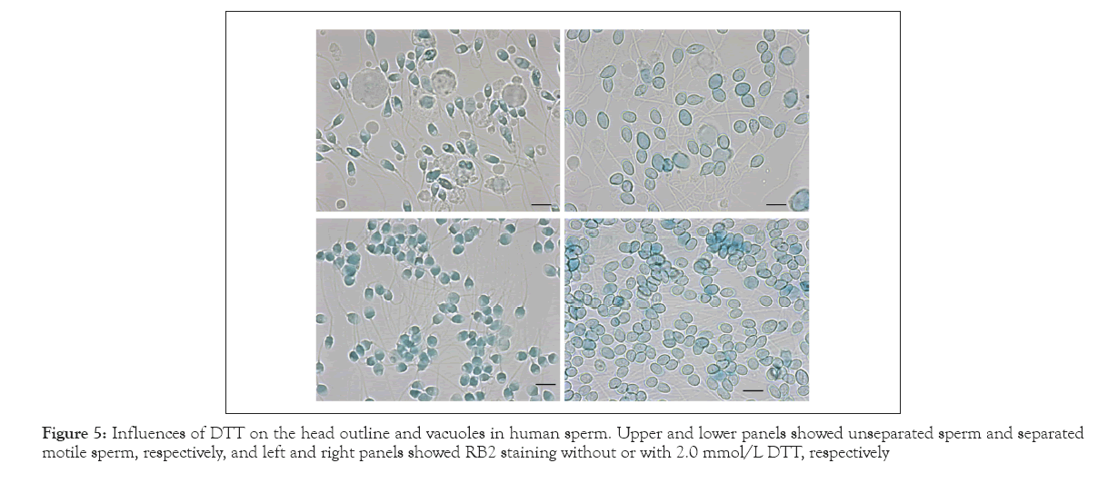 Medical-Diagnostic-Methods-staining