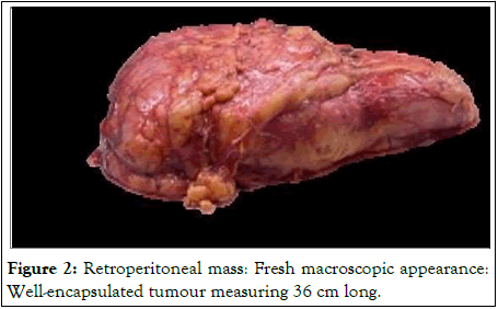 Medical-Pathology