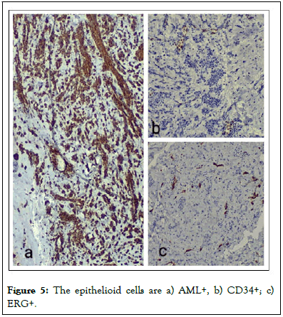 Medical-Pathology