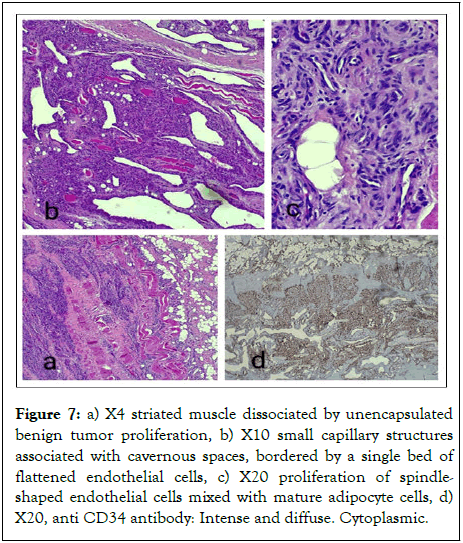 Medical-Pathology