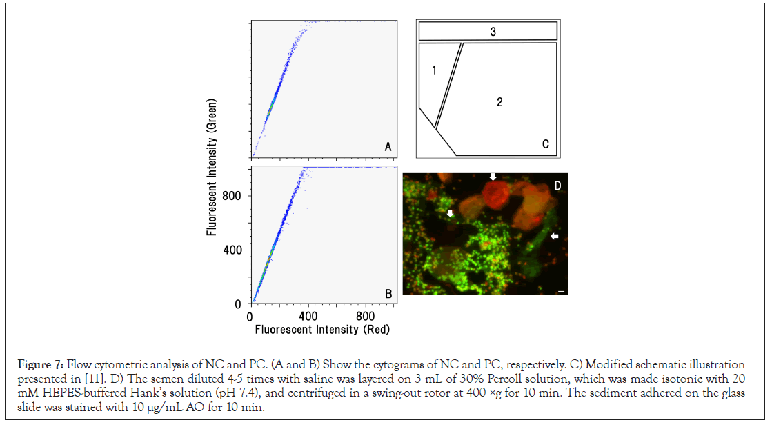 Medical-cytometric