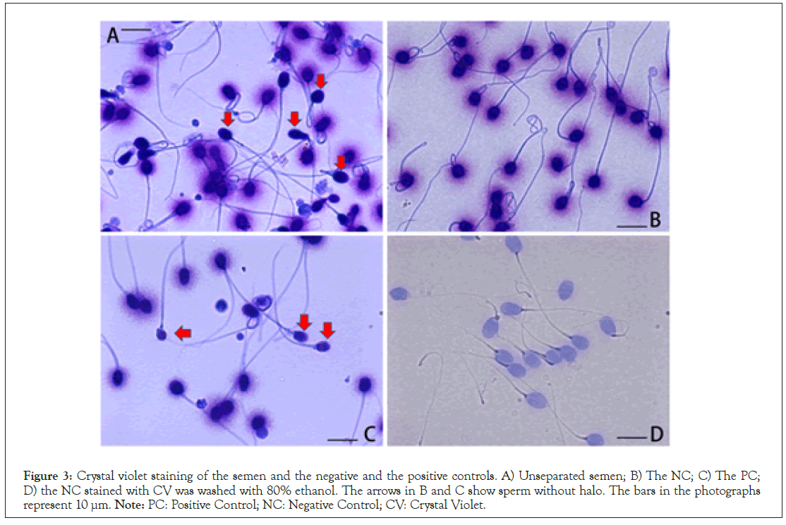 Medical-staining