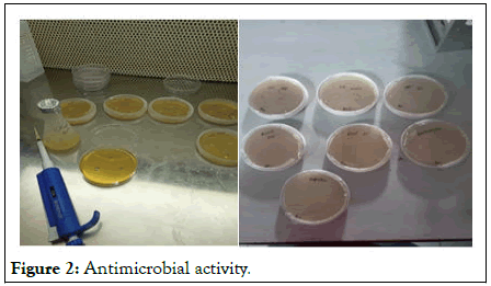 Nutrition-Sciences-activity