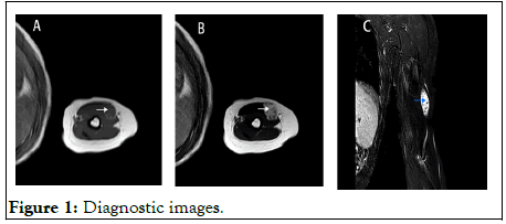 Orthopedic-Muscular-Diagnostic-21169-g001