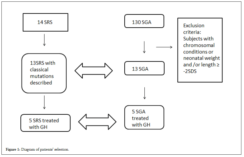 selection