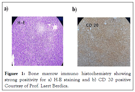 Pharmaceutical-Care-histochemistry