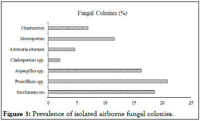 Pollution-Control-airborne