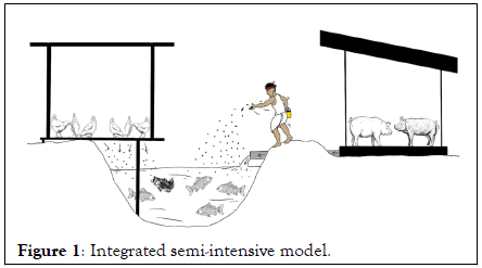 Poultry-Fisheries-Integrated
