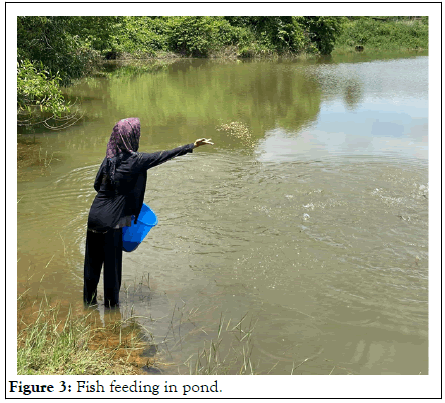 Poultry-Fisheries-pond