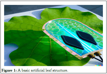 Renewable-Energy-structure