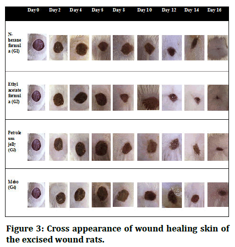 Research-Dental-Cross