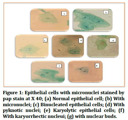 Research-Dental-Epithelial