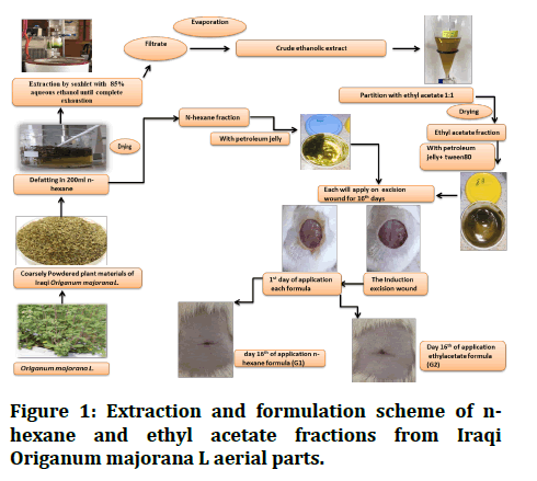 Research-Dental-Extraction