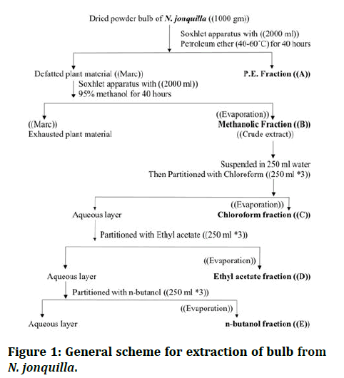 Research-Dental-General