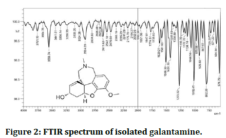 Research-Dental-galantamine