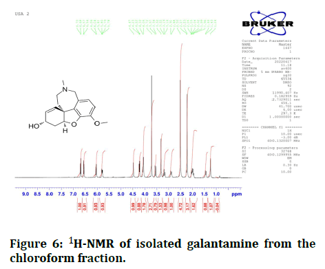 Research-Dental-isolated