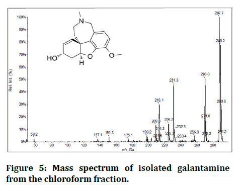 Research-Dental-spectrum