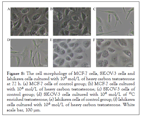 morphology