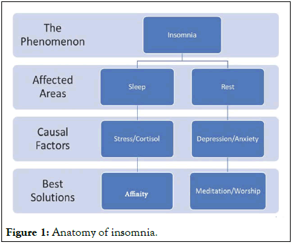 Sleep-Therapy-Anatomy