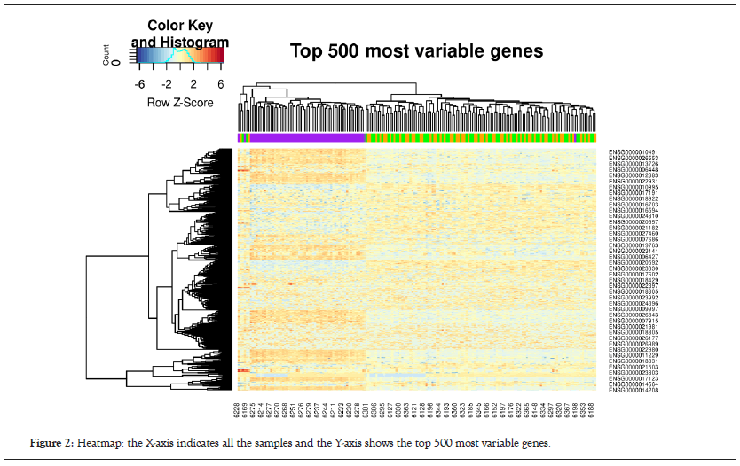 Heatmap