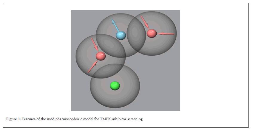 pharmacophoric