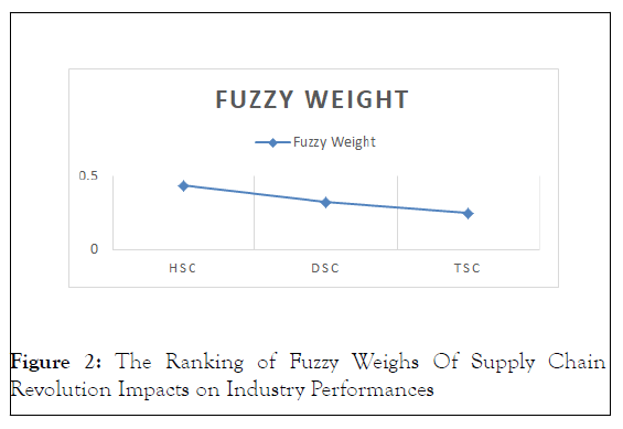 advancements-fuzzy-weighs