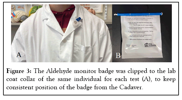 anatomy-physiology-monitor