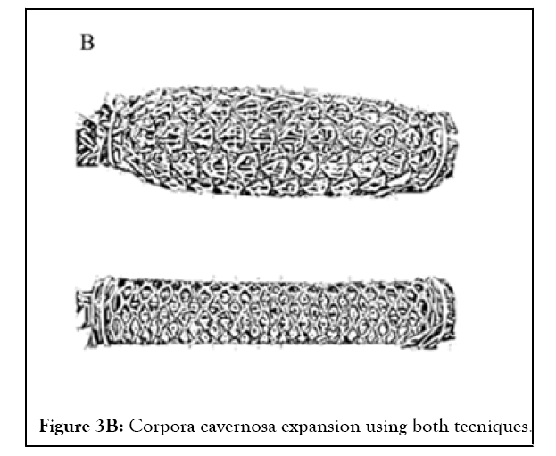 andrology-expansion