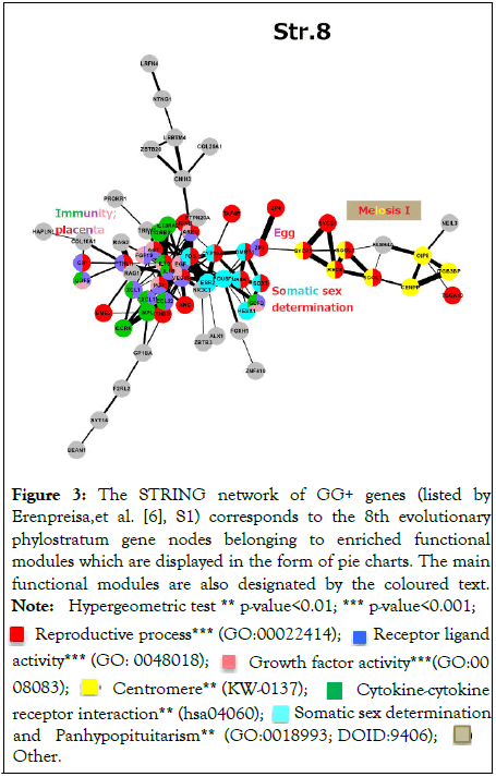 andrology-phylostratum