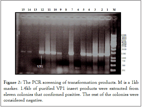 applied-microbiology-screening