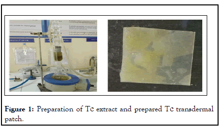 applied-pharmacy-extract