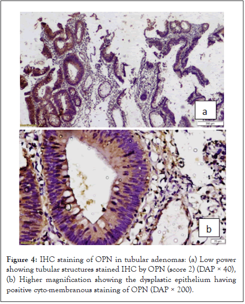 cancer-science-research-structures