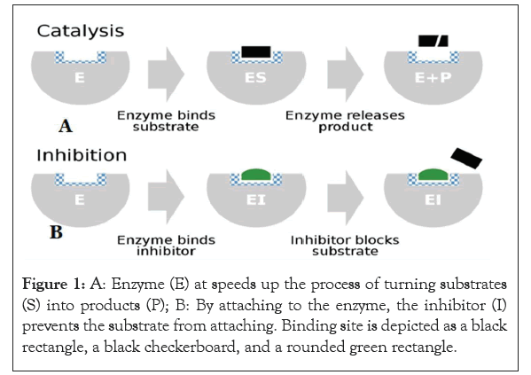 chemical-engineering-turning