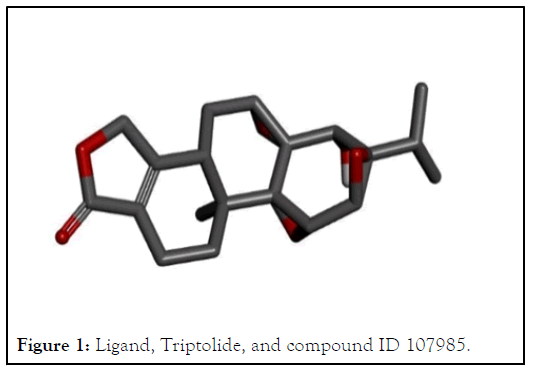 Ligand