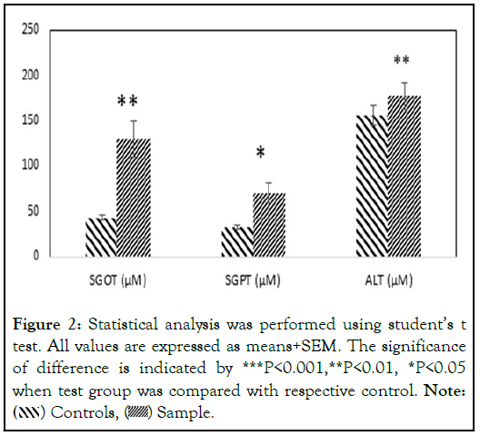 Statistical