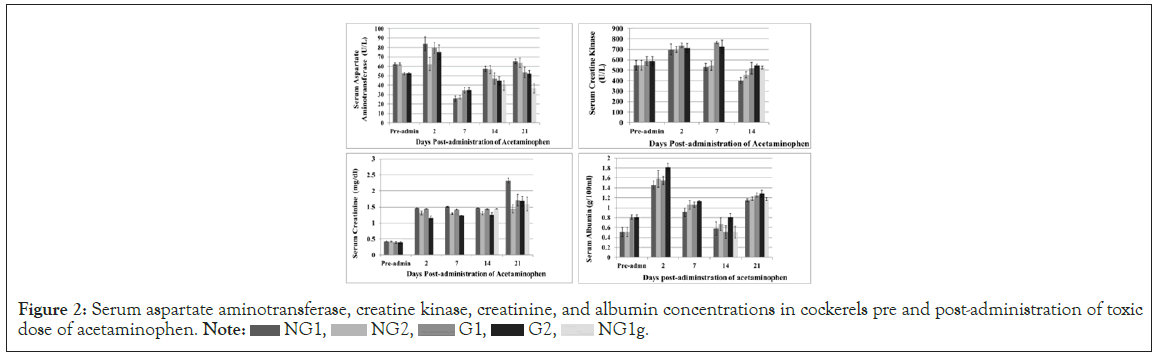 aspartate