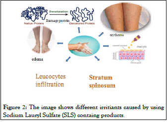 Sodium dodecyl sulfate (Sodium lauryl sulfate), Pharmaceutical Excipient