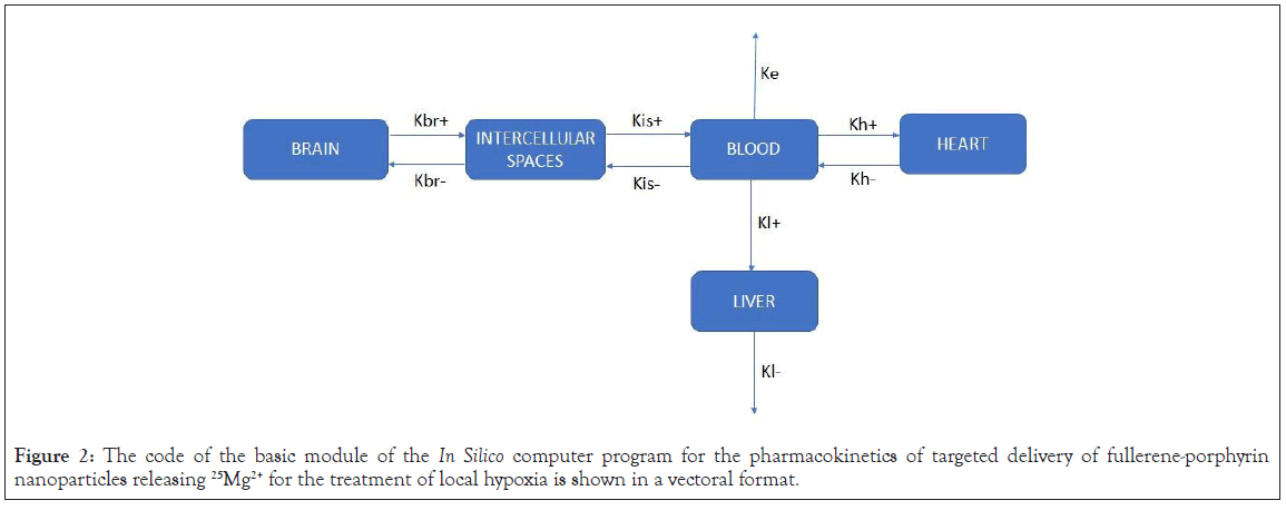 pharmacokinetics