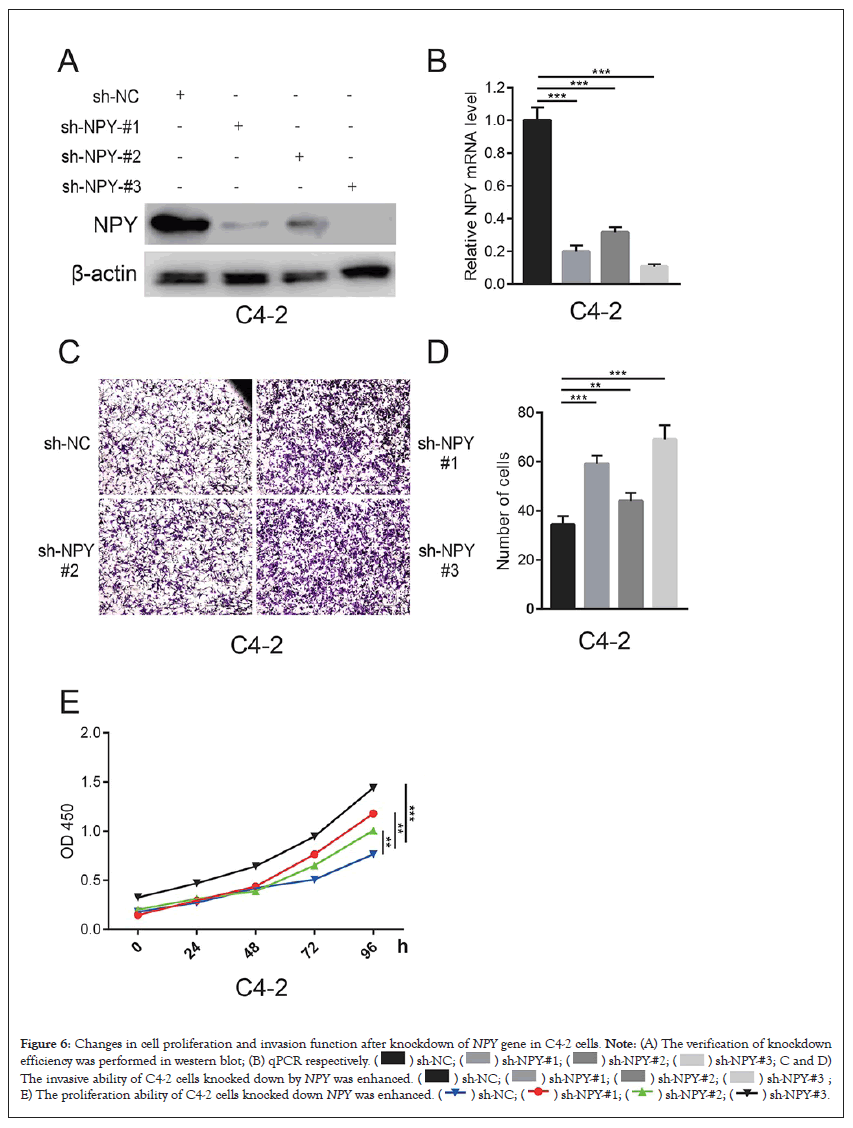 clinical-trials-cell-proliferation