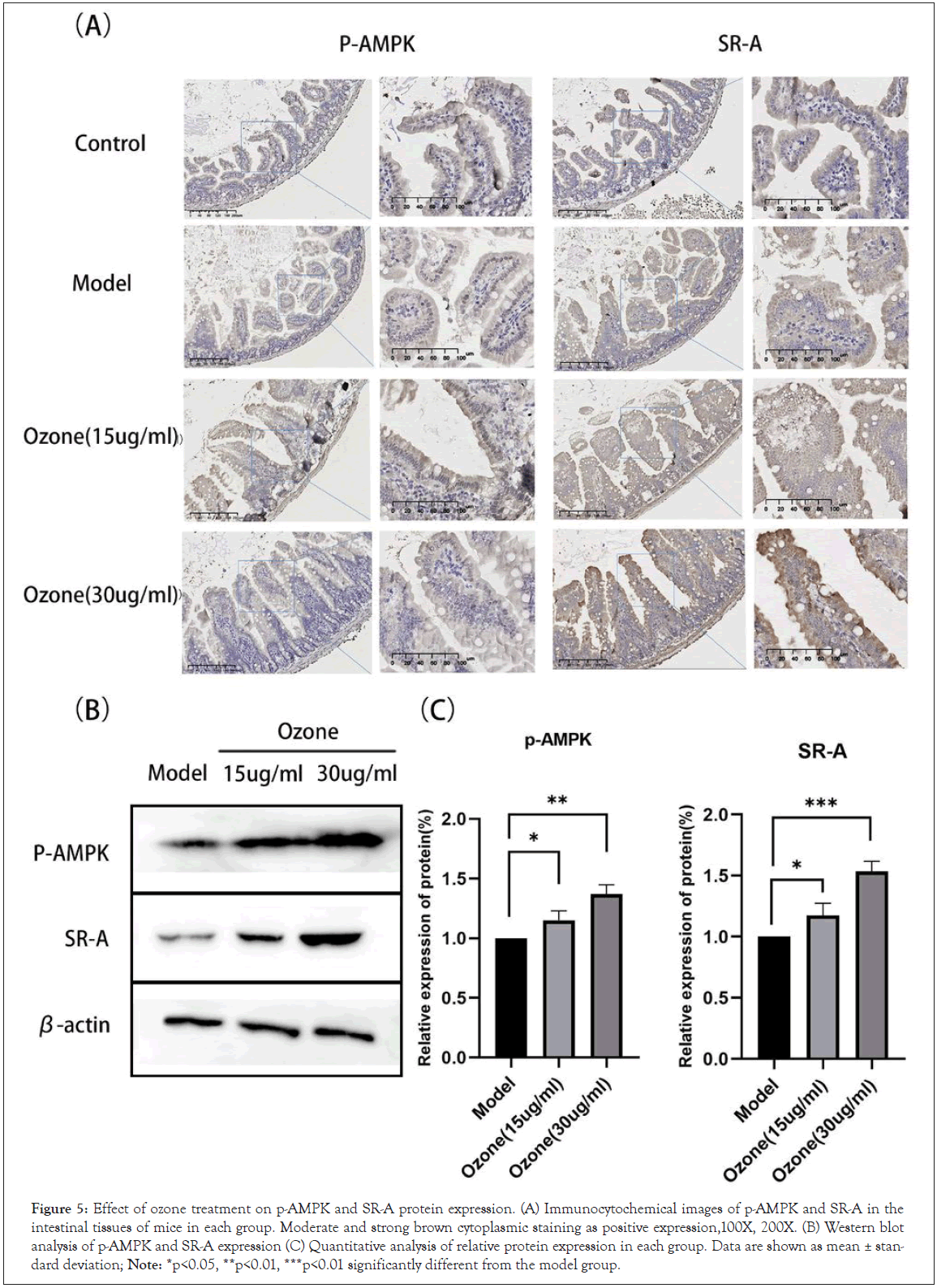 clinical-trials-cytoplasmic