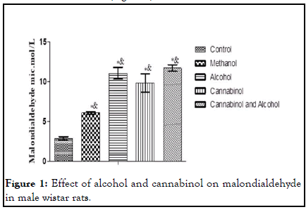 drug-metabolism-alcohol