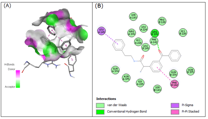 drug-model