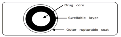 drug-outline